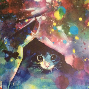 Meet your Posher, Crazy